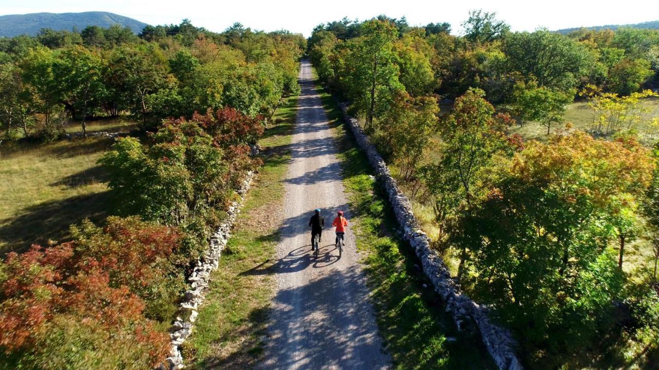 Vila Brinovka Kostanjevica na Krasu Bagian luar foto